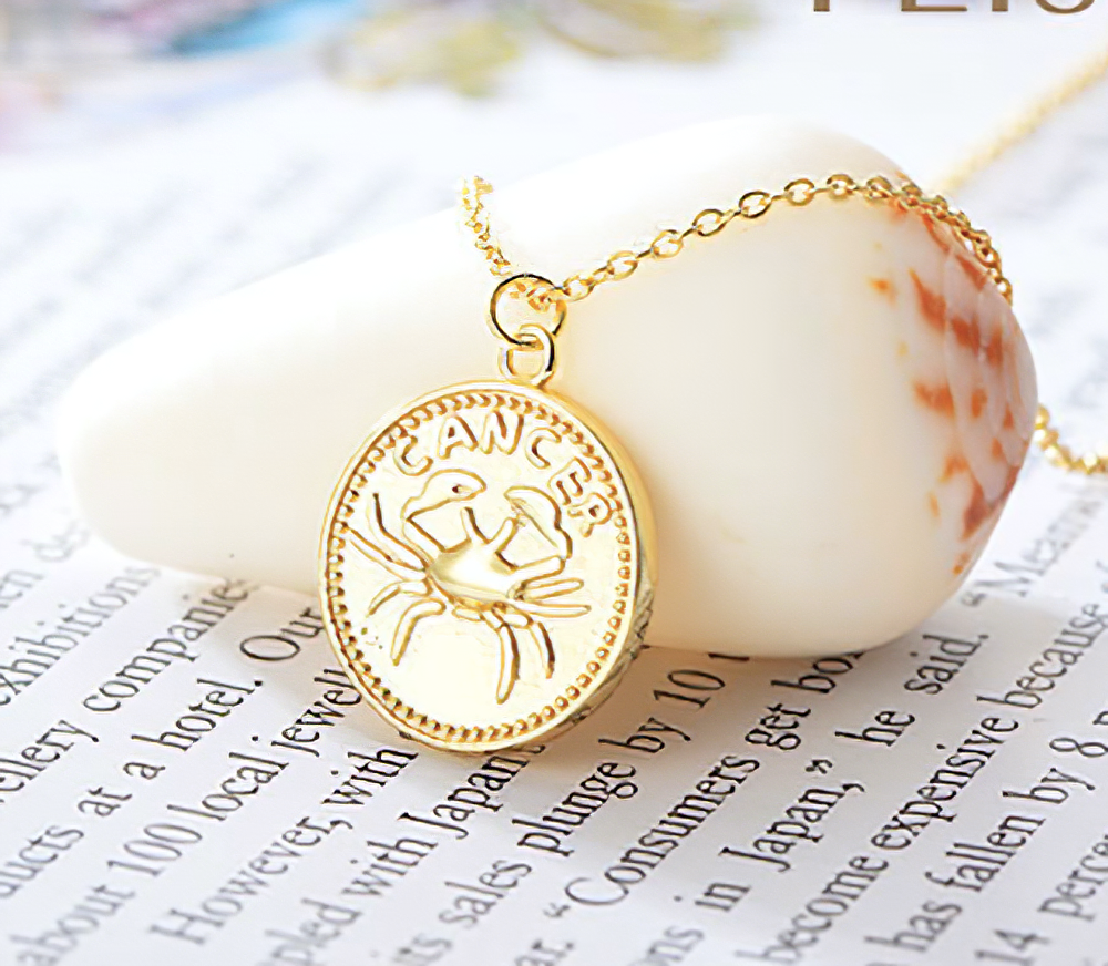 Coin Style Zodiac Astrology 925 Sterling Silver Necklace